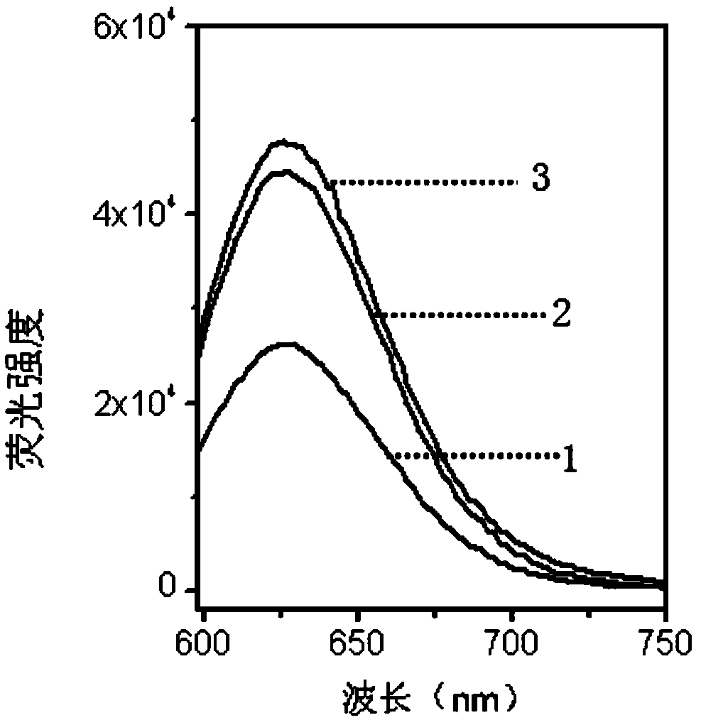 Multi-branched nucleic acid nano-silver fluorescent cluster and preparation method and purpose thereof