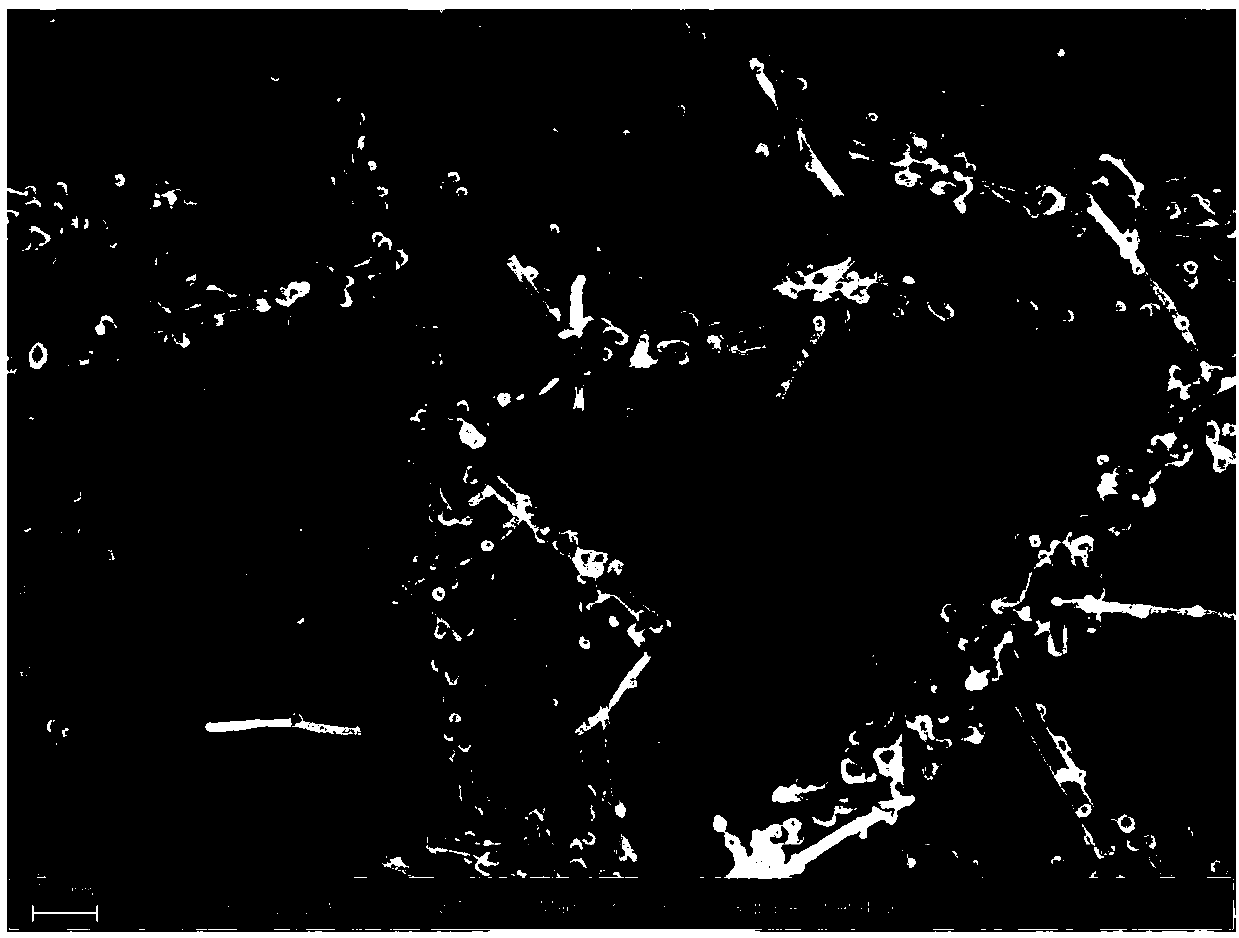 Preparation method of nanosilver composite carbon nanotubes