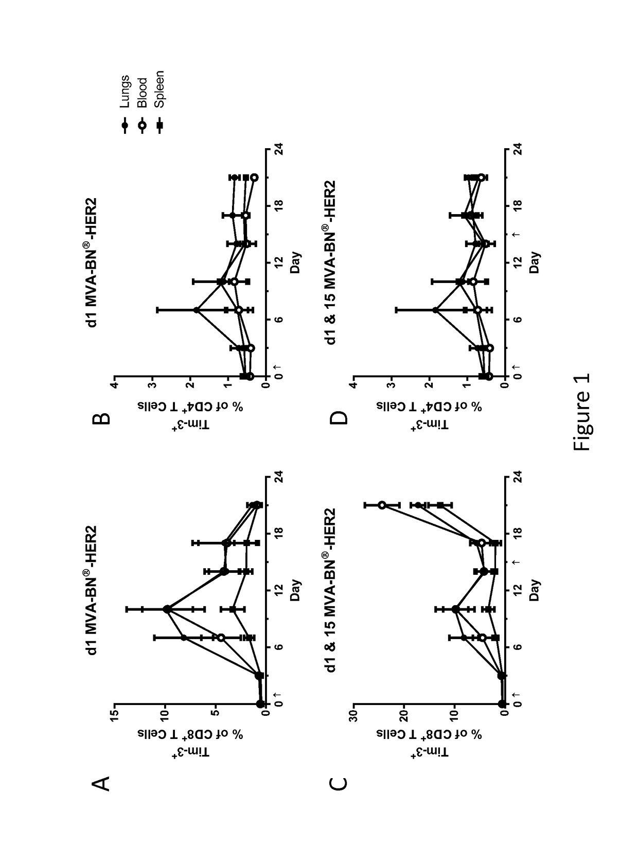Combination Therapy for Treating Cancer with a Poxvirus Expressing a Tumor Antigen and an Antagonist of TIM-3