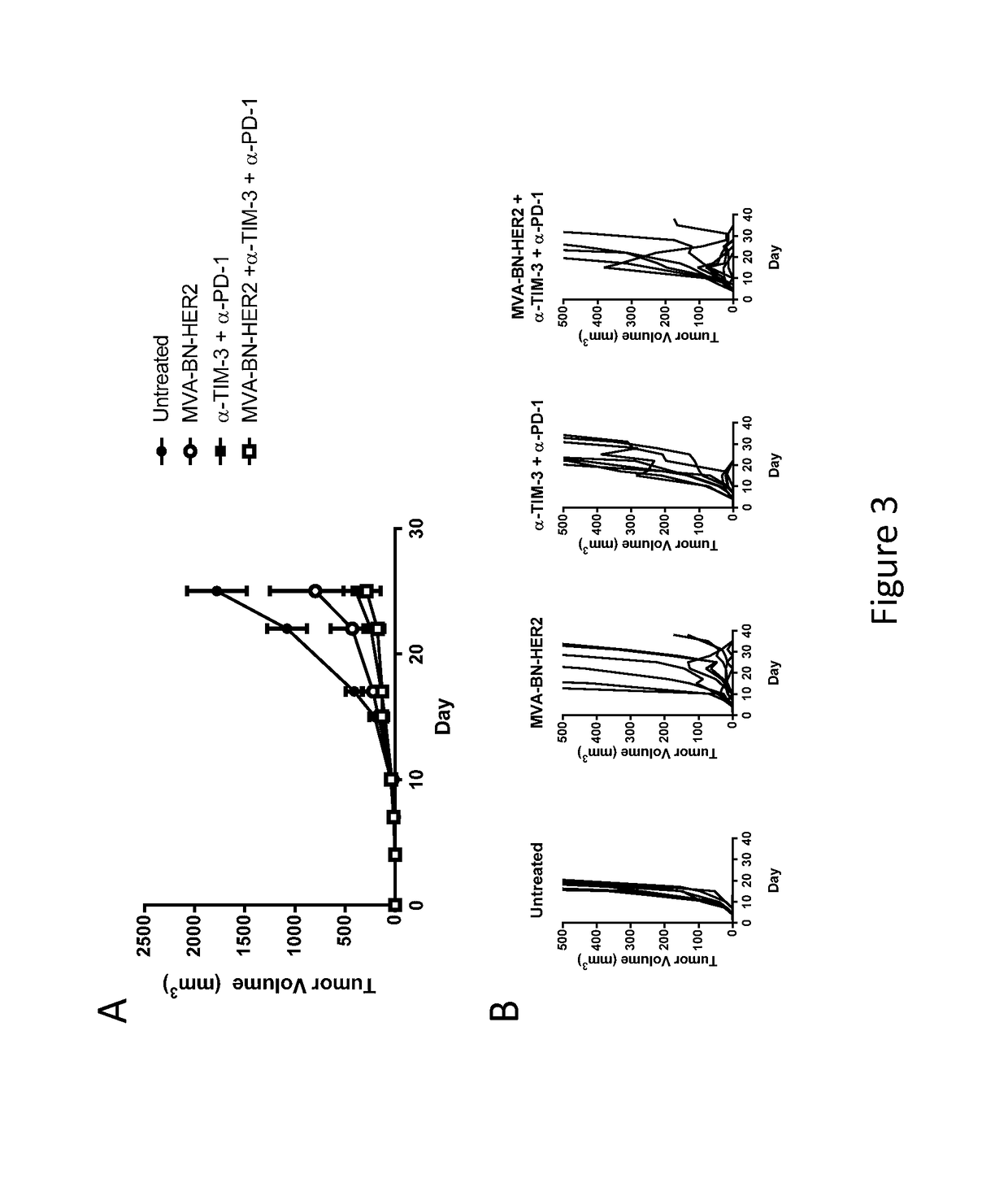 Combination Therapy for Treating Cancer with a Poxvirus Expressing a Tumor Antigen and an Antagonist of TIM-3