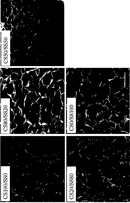 Chitosan-sericin composite bioscaffold and its preparation method and application