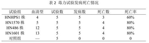 Mycoplasma hyopneumoniae and haemophilus parasuis bivalent pentavalent inactivated vaccine and application thereof