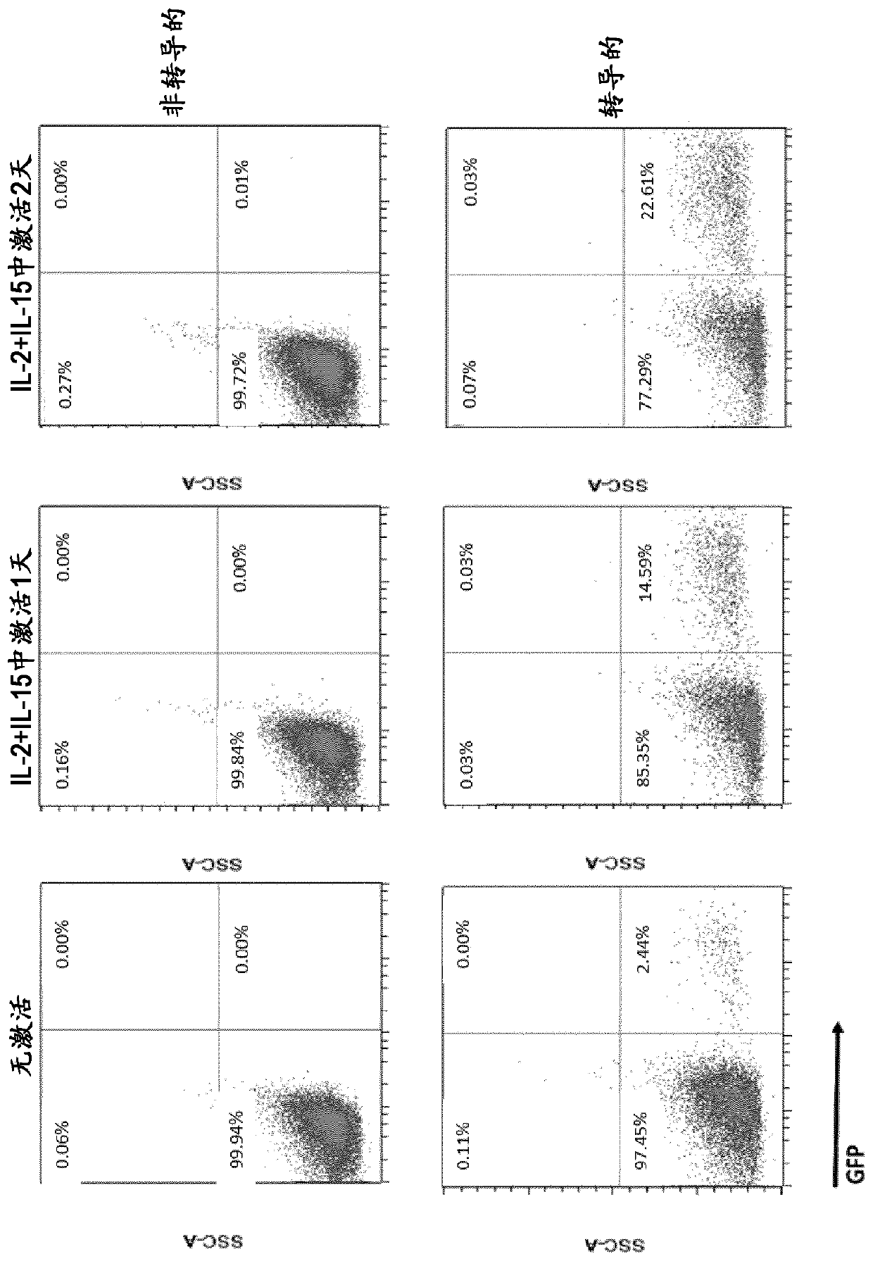 Method for nk cell transduction