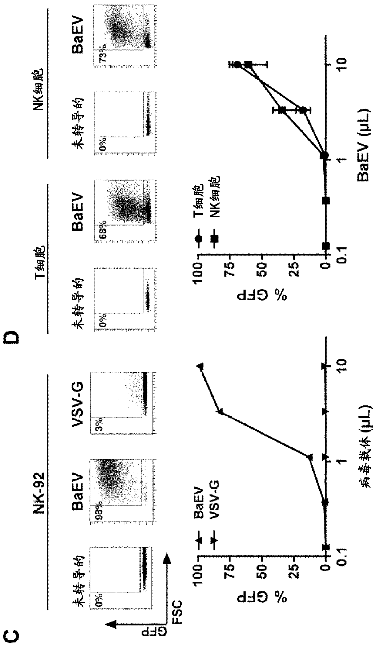 Method for nk cell transduction