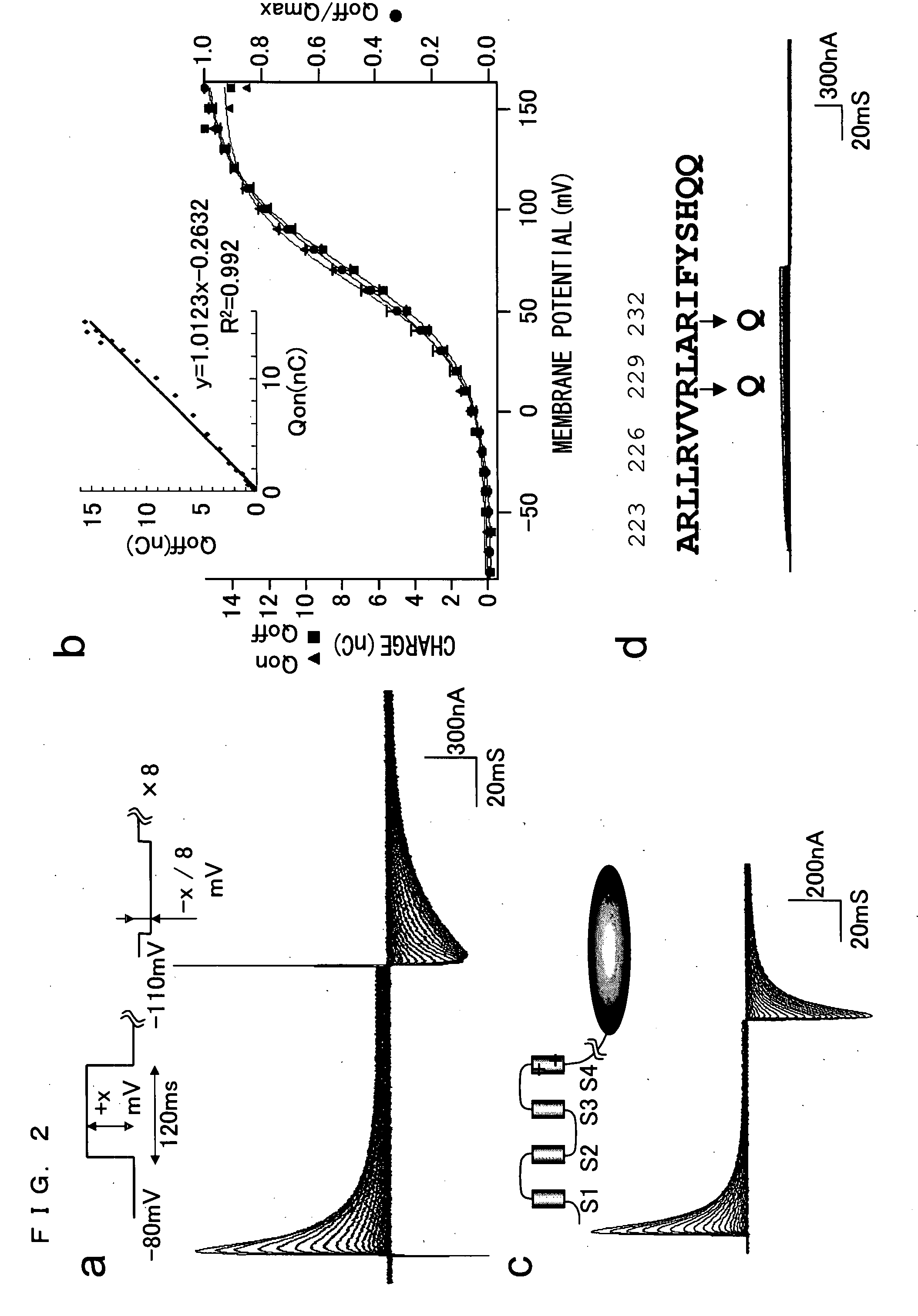 Novel Ion Channel-Like Polypeptide and Use Thereof