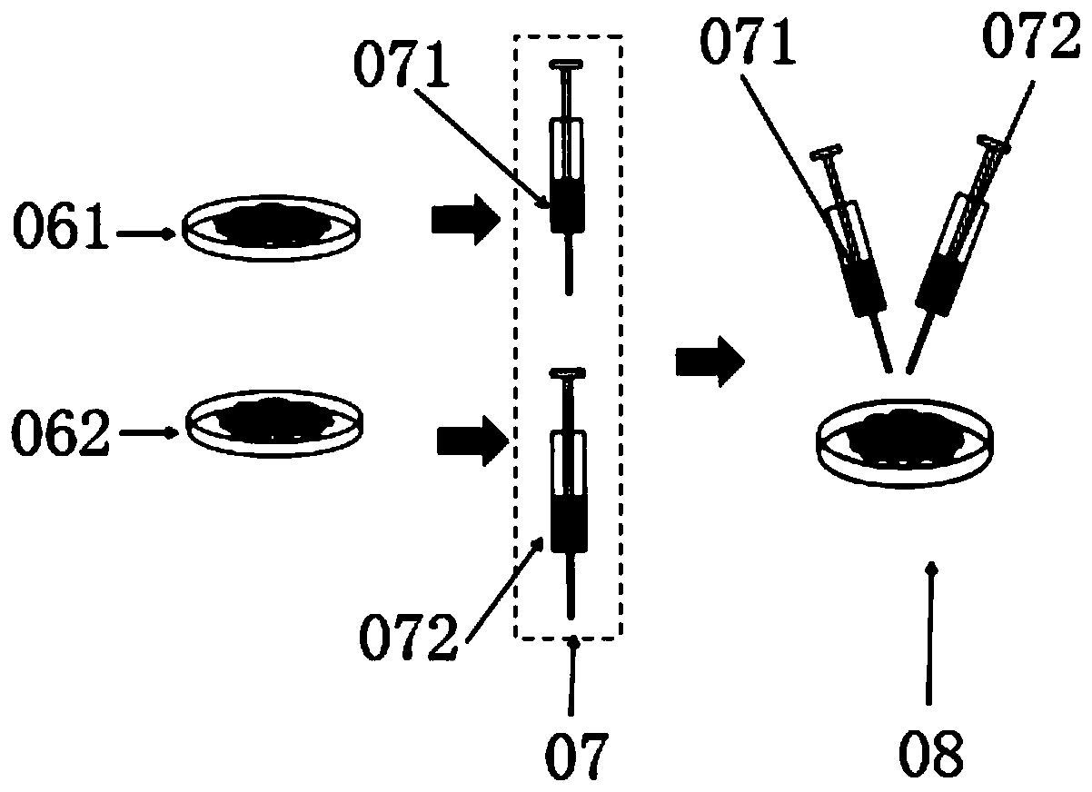 Frozen-dried preparation containing regeneration factors and preparation method and application of frozen-dried preparation