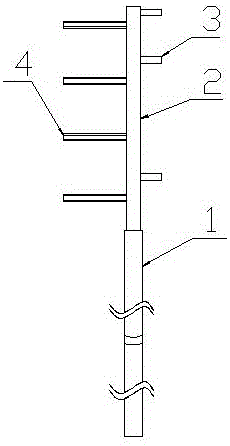 Branch puller for fruit trees and use method thereof