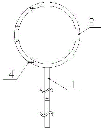 Branch puller for fruit trees and use method thereof