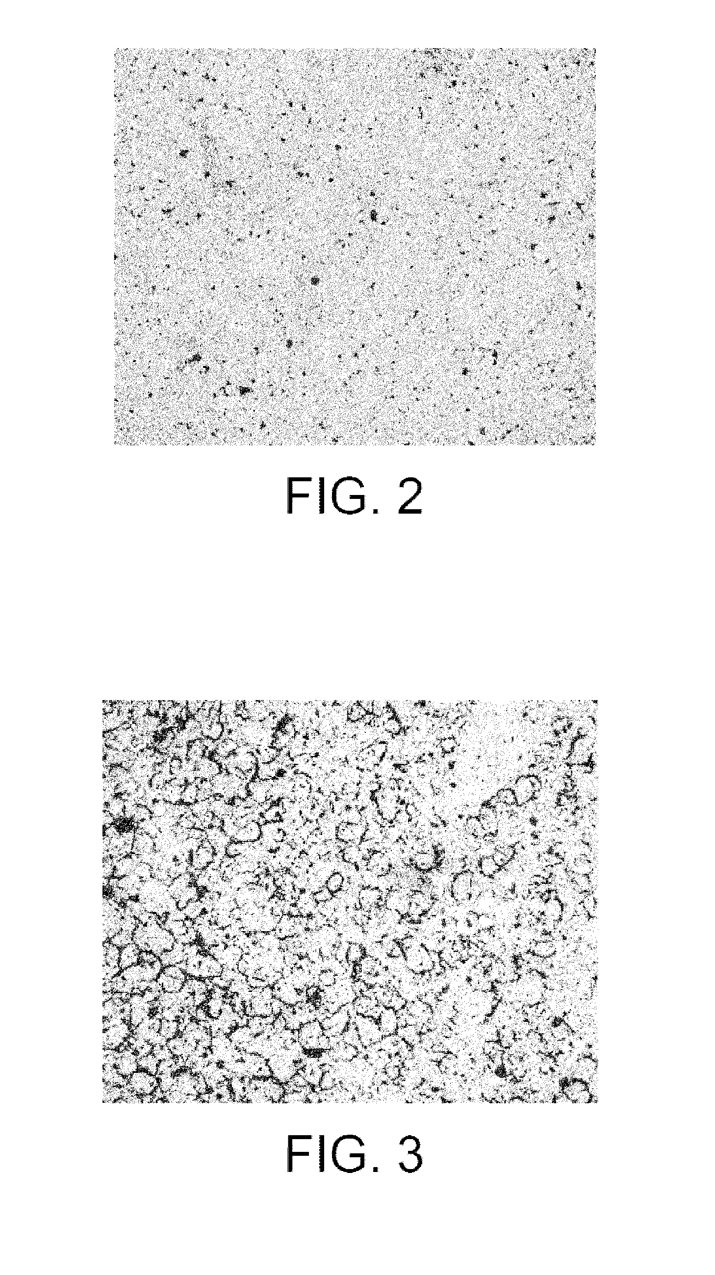 Method for preparing a porous nuclear fuel based on at least one minor actinide