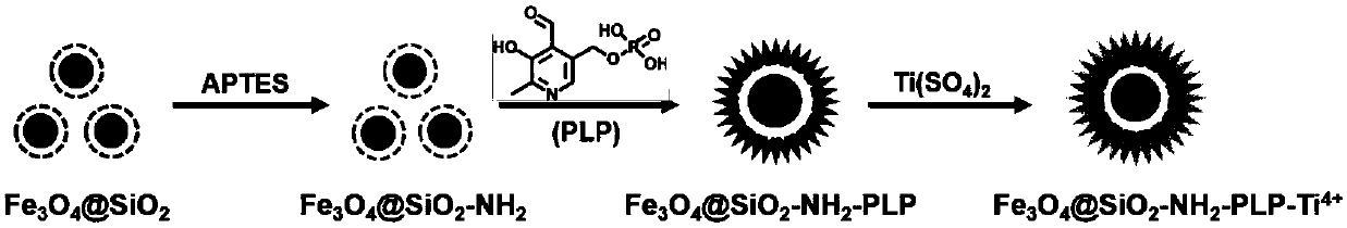 A kind of method utilizing pyridoxal 5-phosphate to prepare immobilized metal affinity material