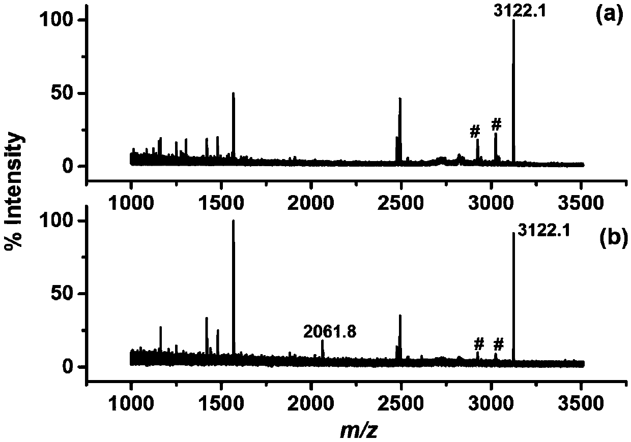 A kind of method utilizing pyridoxal 5-phosphate to prepare immobilized metal affinity material