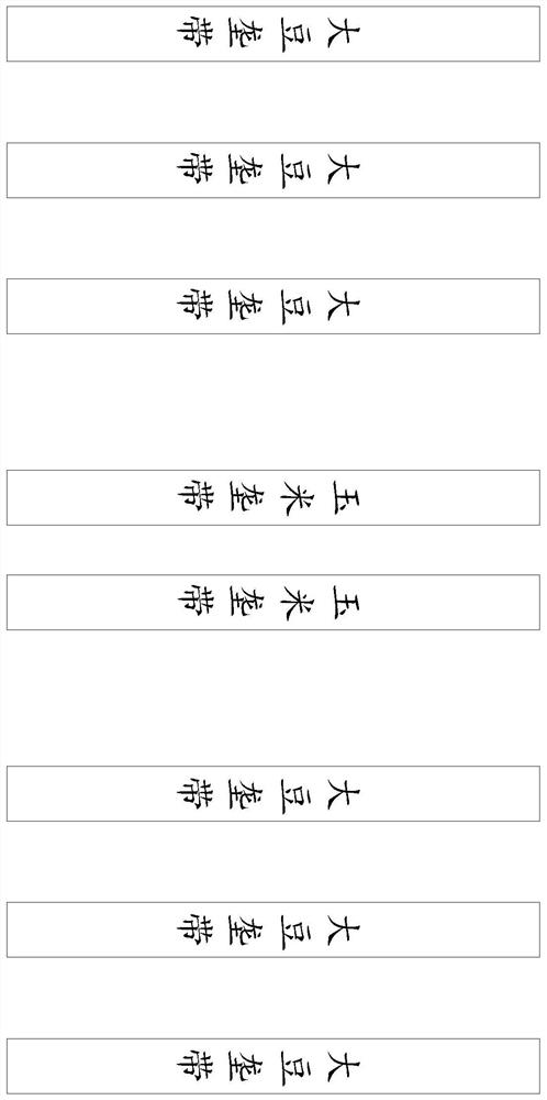 Method for increasing yield through Zea mays L. and Glycine max (Linn.) Merr. high-ratio intercropping plantation