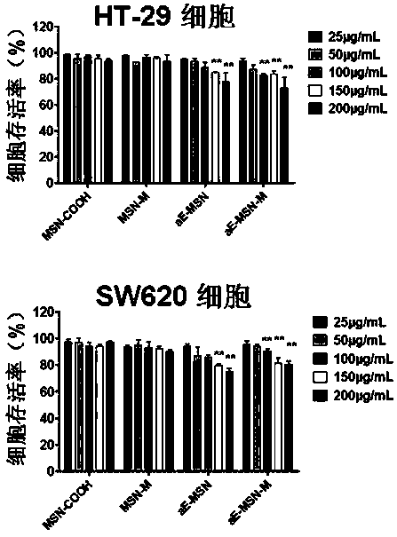 An antibody-coupled mesoporous silica/mifepristone nano-preparation