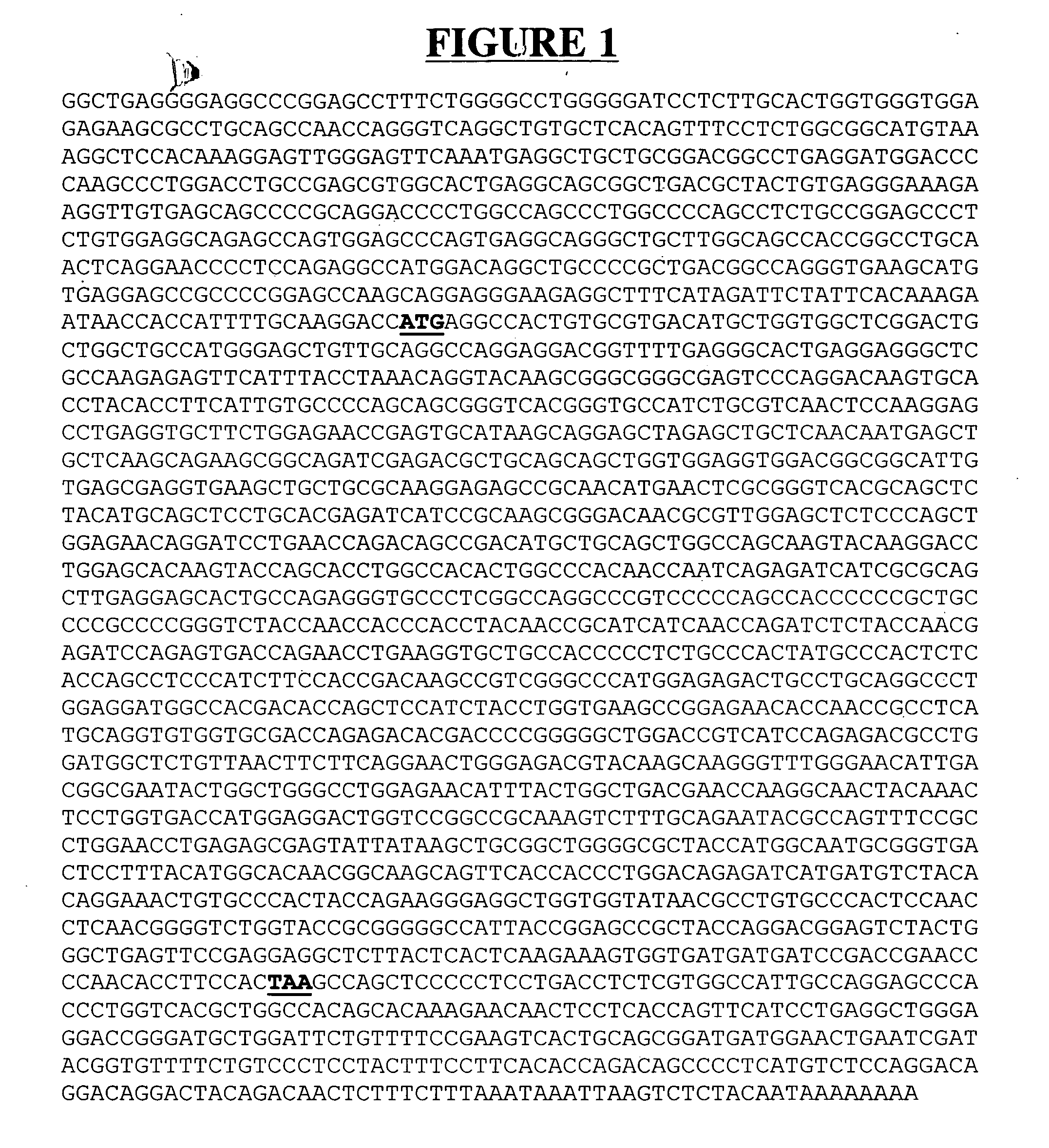 Secreted and transmembrane polypeptides and nucleic acids encoding the same