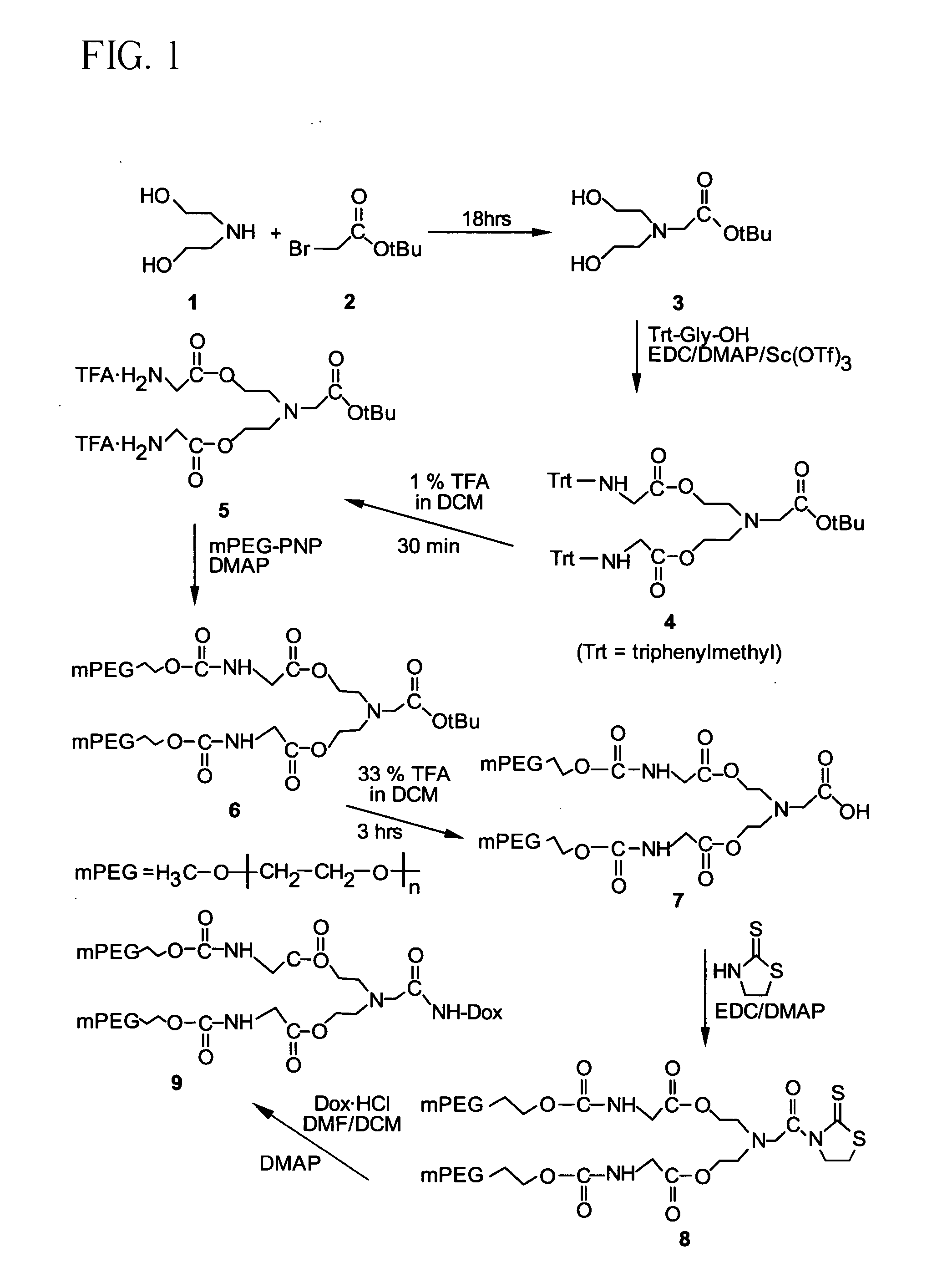 Releasable polymeric conjugates based on aliphatic biodegradable linkers