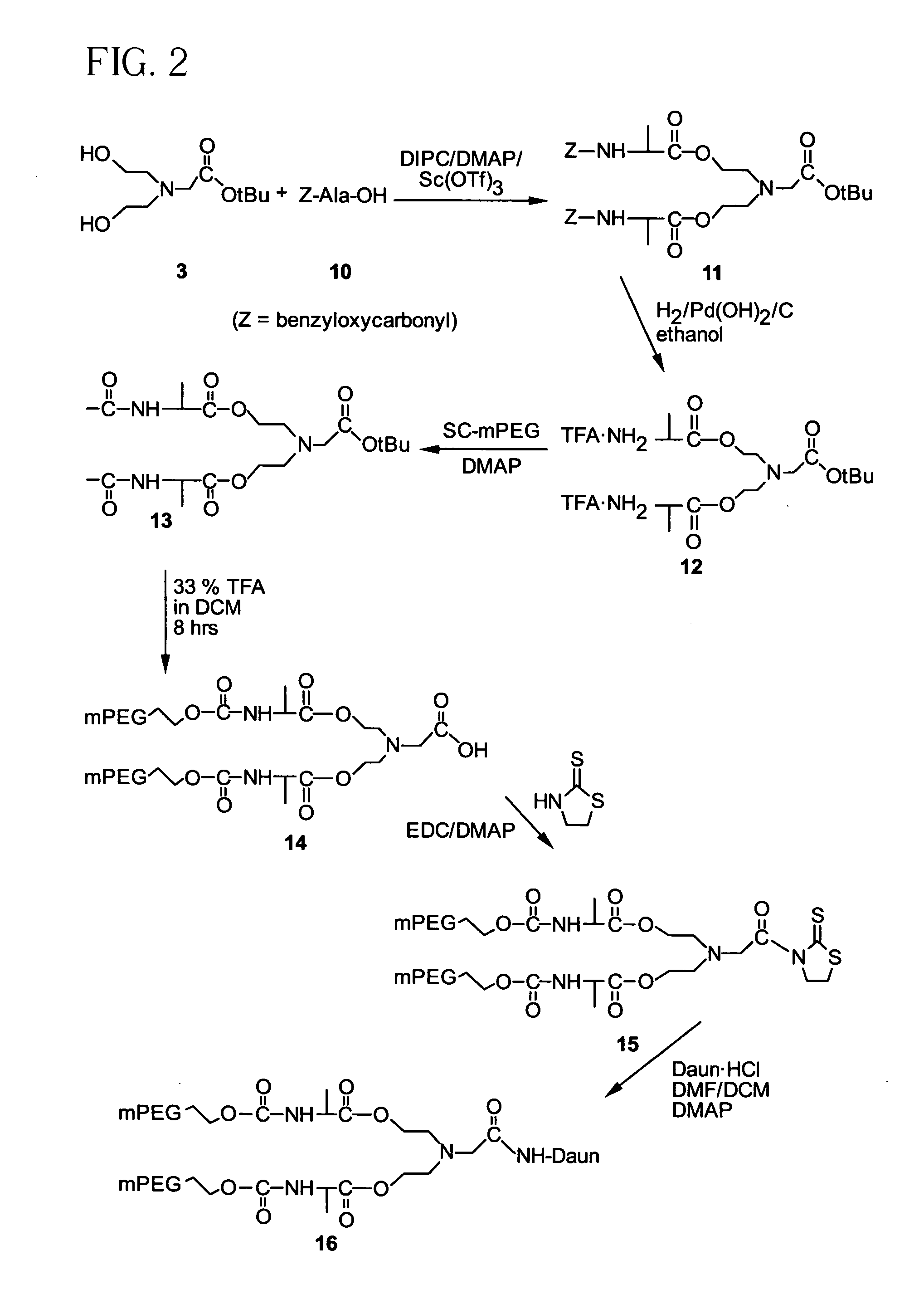 Releasable polymeric conjugates based on aliphatic biodegradable linkers