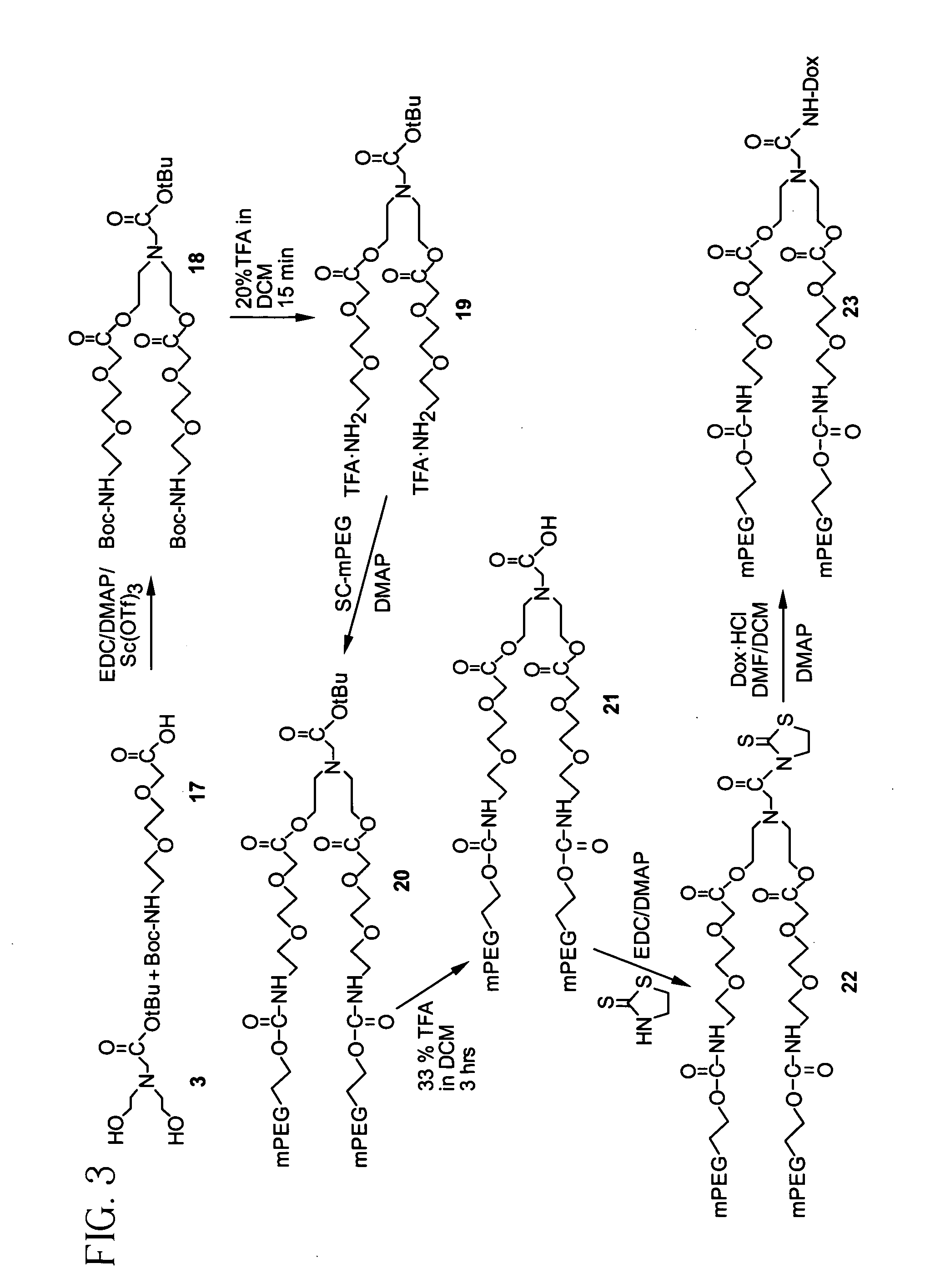 Releasable polymeric conjugates based on aliphatic biodegradable linkers