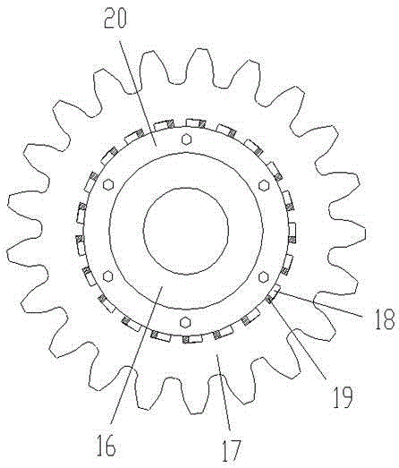 Speed reducer having air cooling and vibration reducing gear and gap eliminating structure