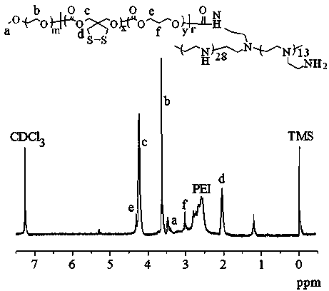 Reversible cross-linked biodegradable polymer vesicle with asymmetric membrane structure and preparation method thereof