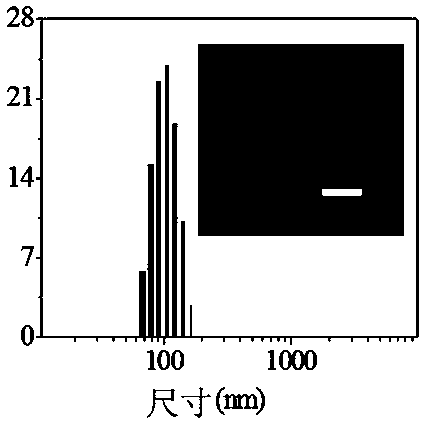 Reversible cross-linked biodegradable polymer vesicle with asymmetric membrane structure and preparation method thereof