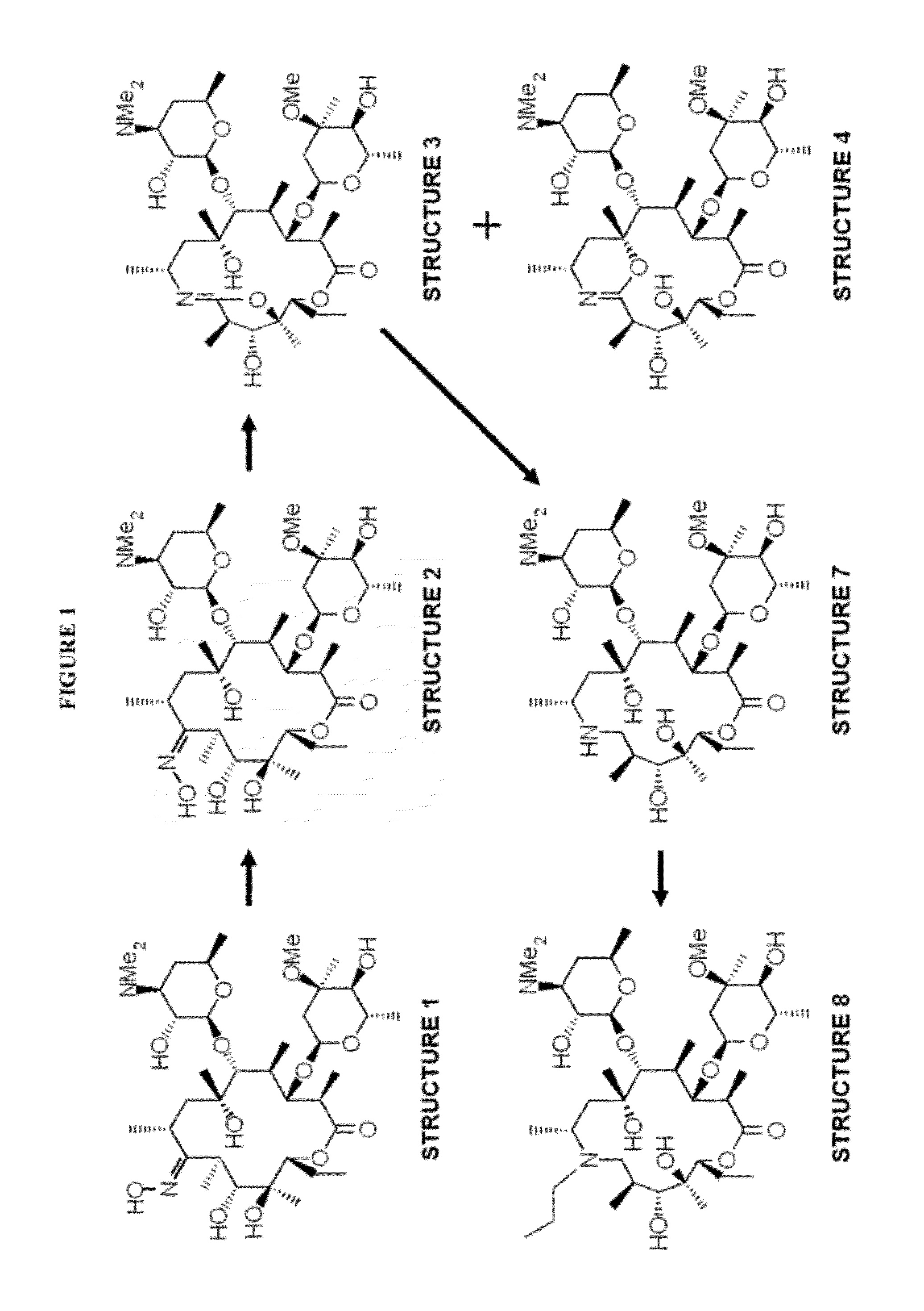 Method of synthesizing macrolide compounds