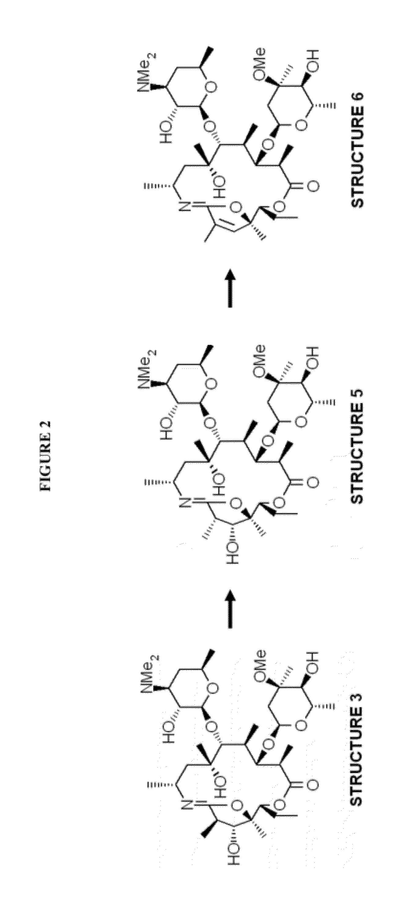 Method of synthesizing macrolide compounds