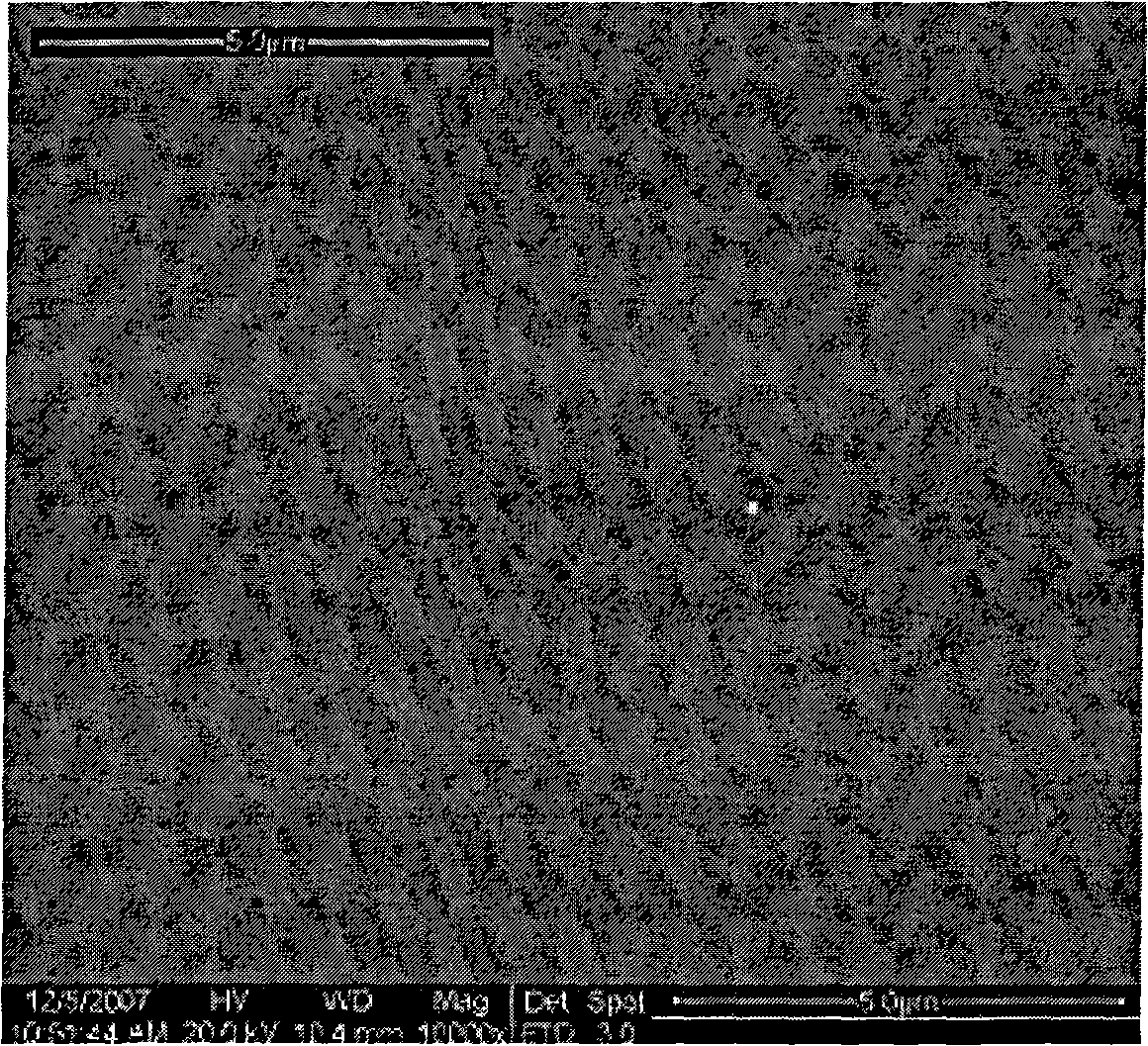 Process for preparing niobium-doped strontium titanate film