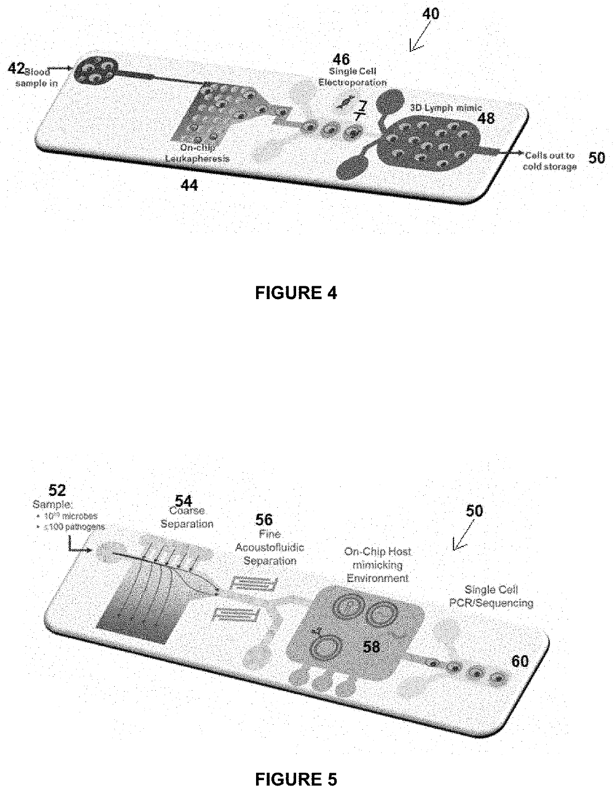 Thermally responsive microgel particles for cell culture applications