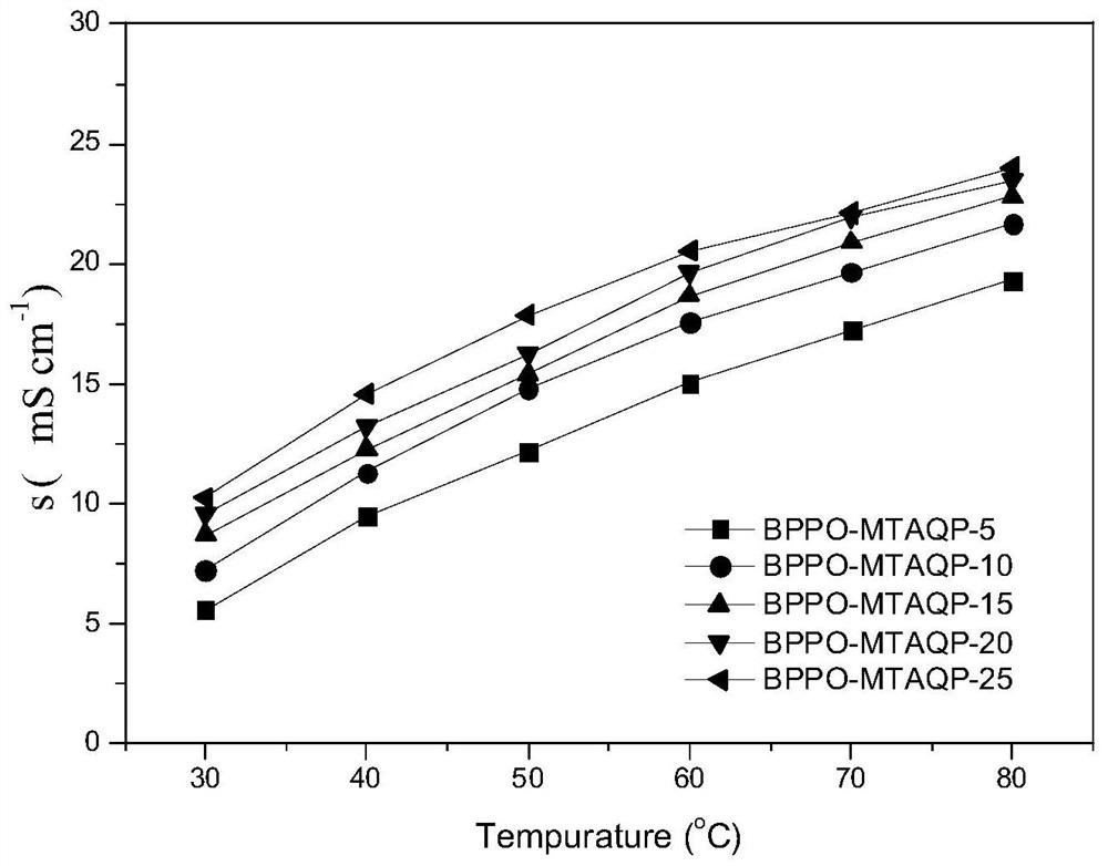 A polyphenylene ether type anion exchange membrane loaded with tetraamino quaternary phosphonium cation units and its preparation method