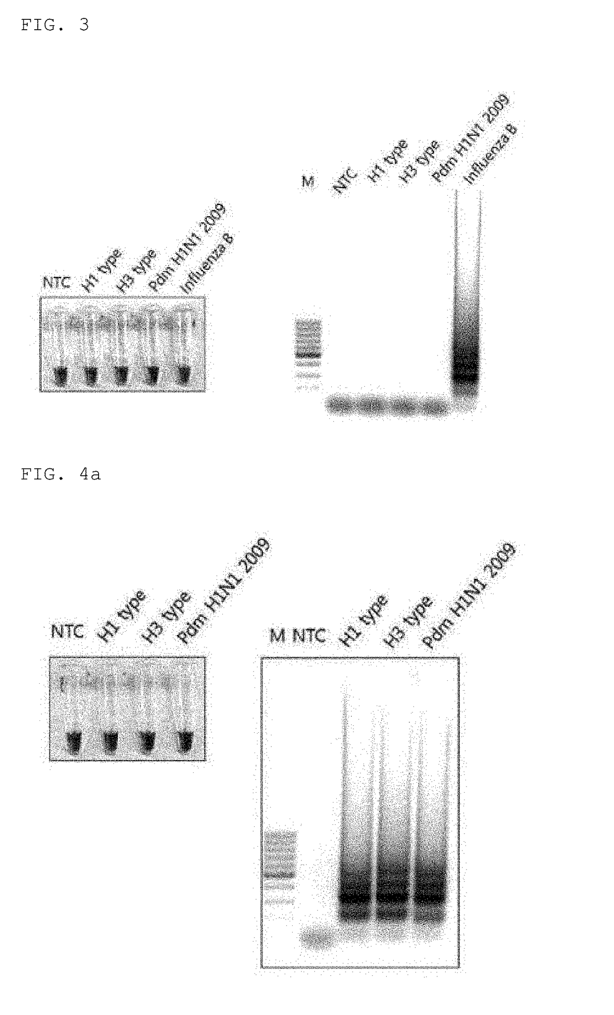 Primers for detecting influenza by using lamp, and use thereof