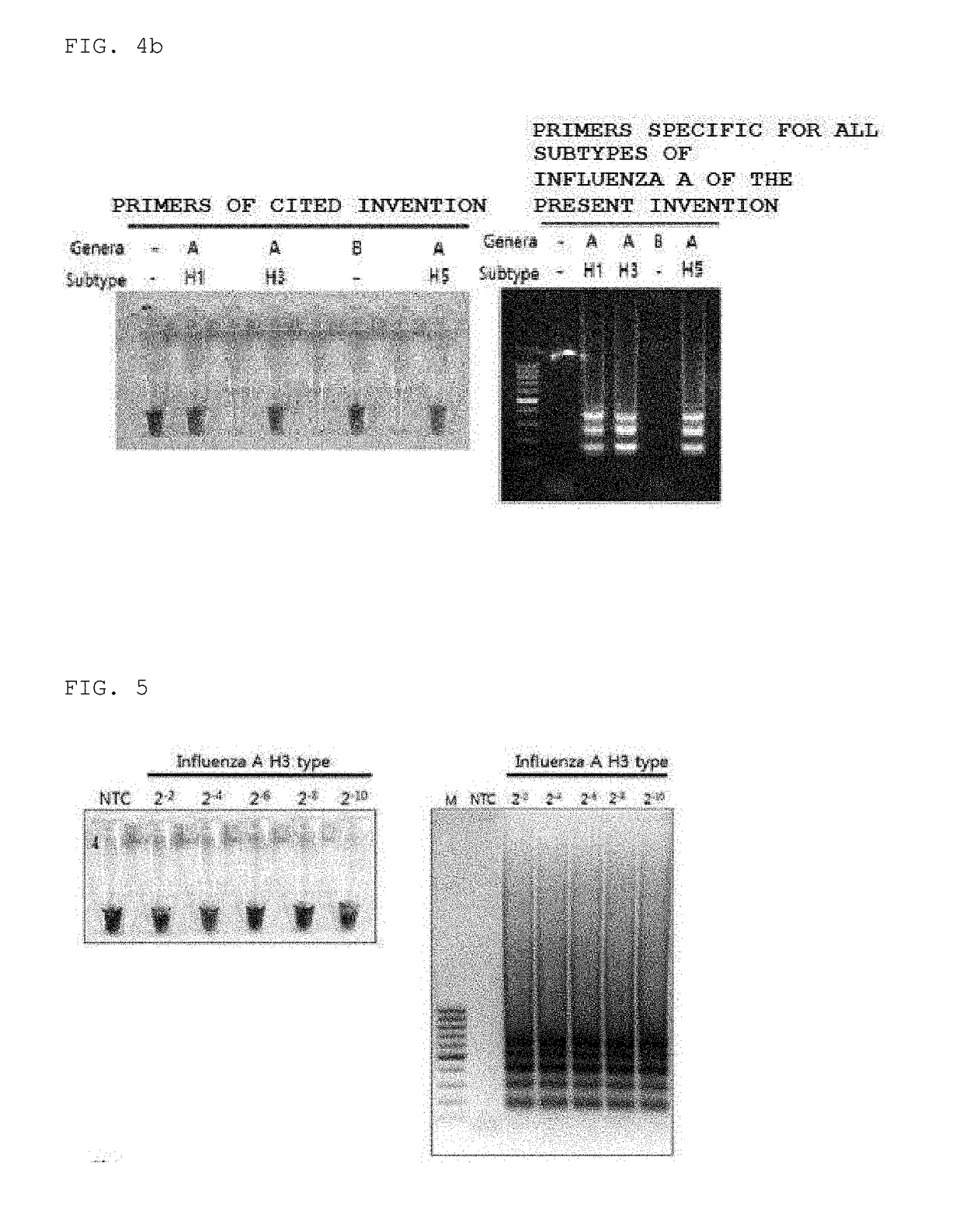 Primers for detecting influenza by using lamp, and use thereof