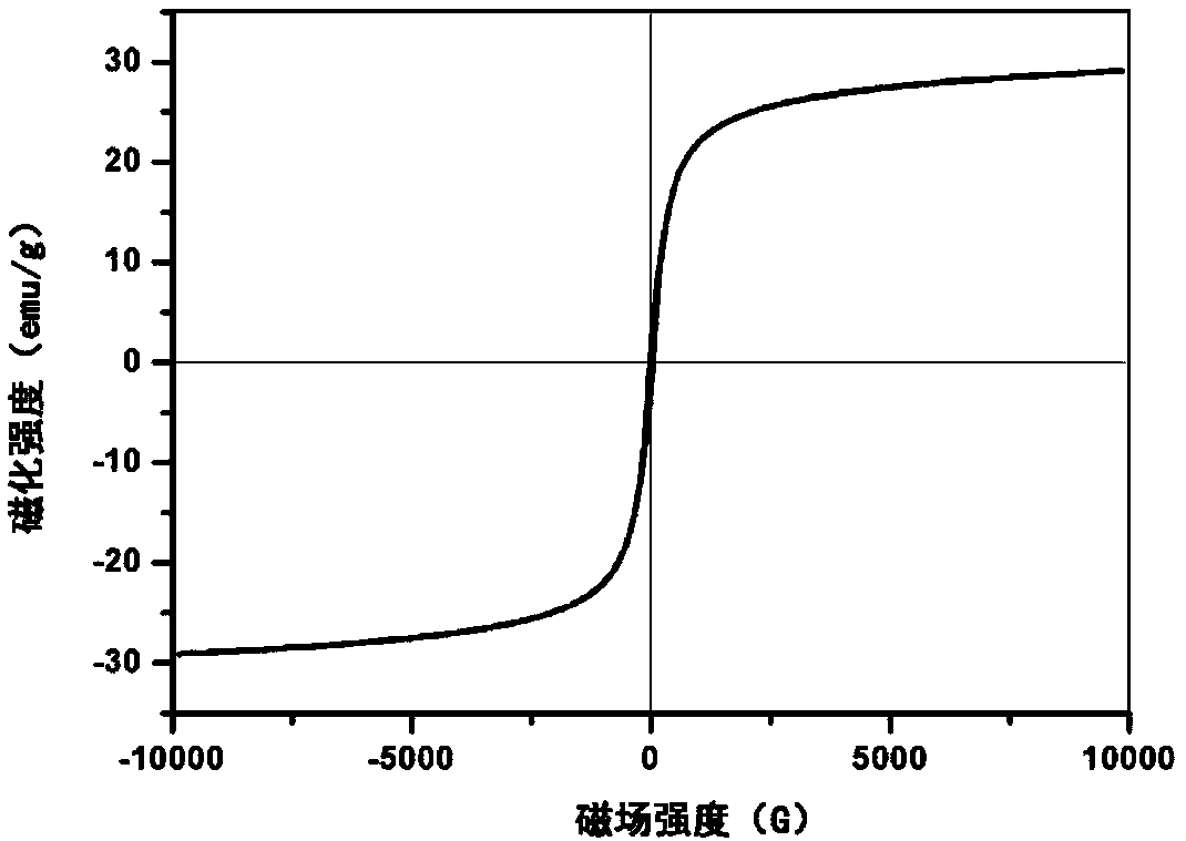 A kind of preparation method of anisotropic conductive polymer composite film