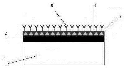 A biochip based on grating guided mode resonance technology and its preparation method