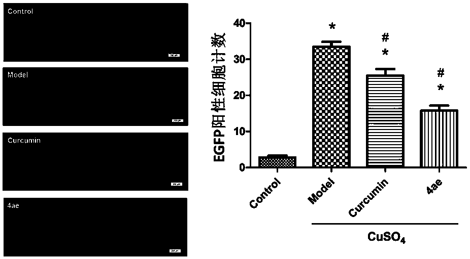 Application of di-indole compound in preparing anti-inflammation drug