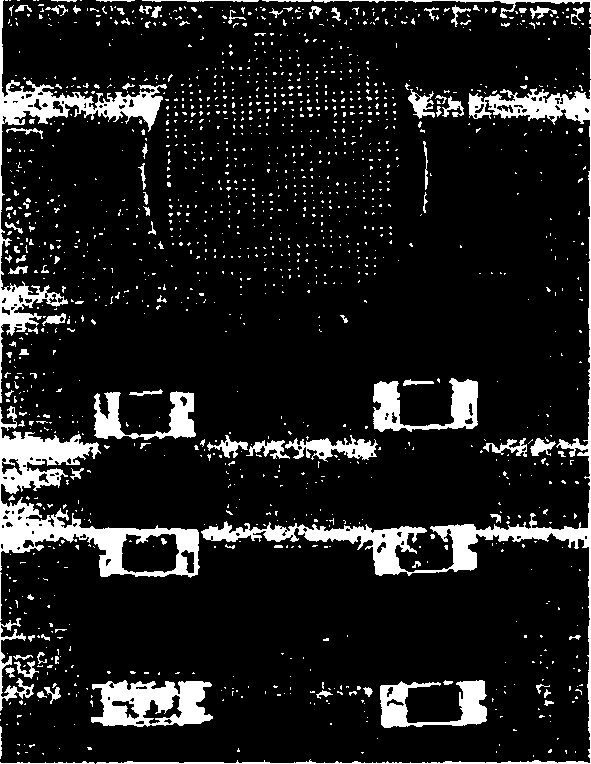 Method of preparing (001) high orientation diamond film using H cation etching diamond nuclear