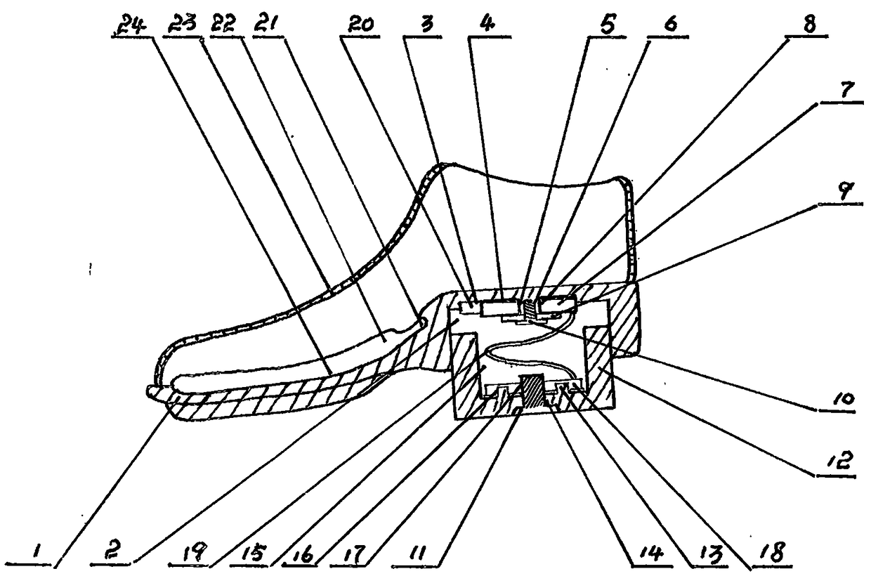 Through sole-variable spring shoe