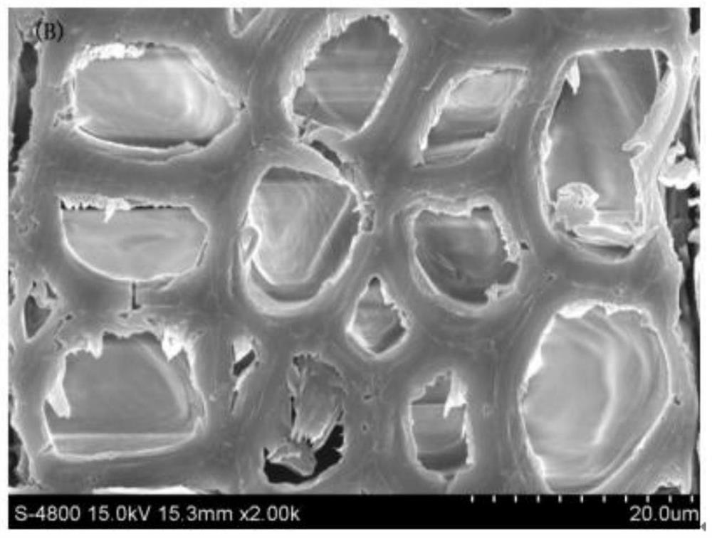 A kind of wood preservative modification treatment method and its application