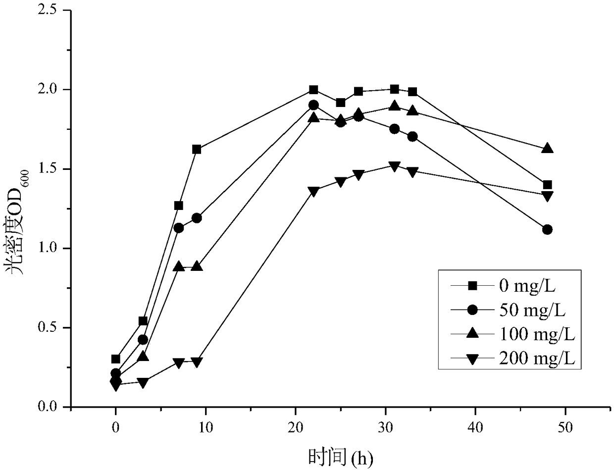 Preparation method and application of Leersia hexandra swartz endophytic bacteria with hexavalent chromium reducing function