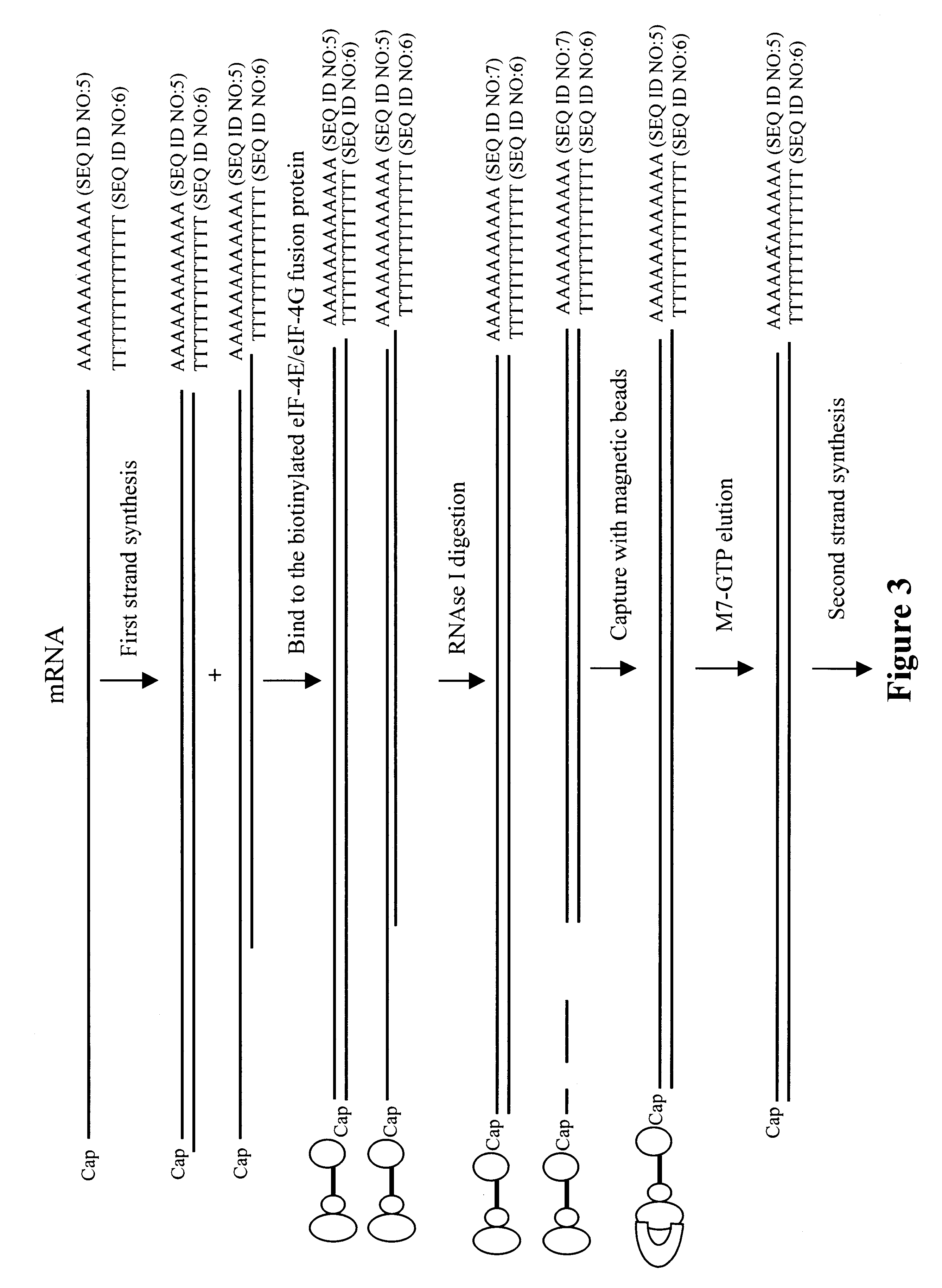Methods and compositions for producing full length cDNA libraries