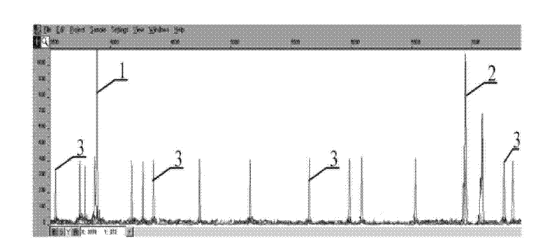 Method, kit and application for detecting STR locuses of hepatitis B infected related gene