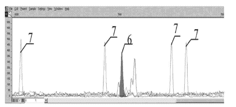 Method, kit and application for detecting STR locuses of hepatitis B infected related gene