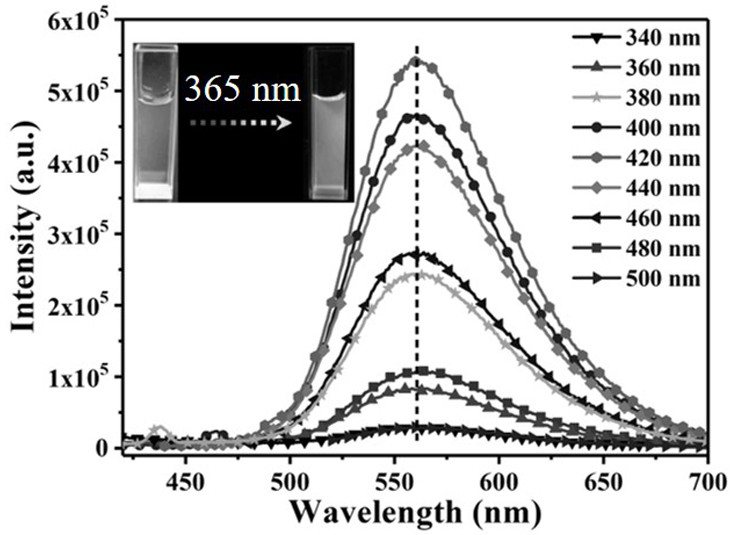 A boron-nitrogen co-doped carbon quantum dot and its preparation and application