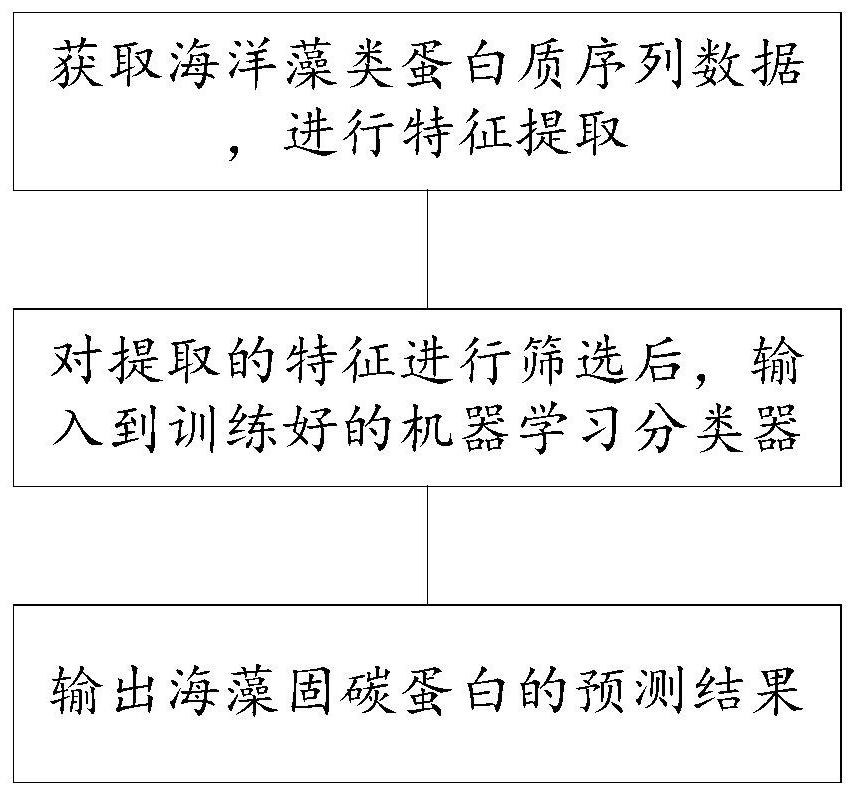 Seaweed carbon sequestration protein prediction method and system based on machine learning