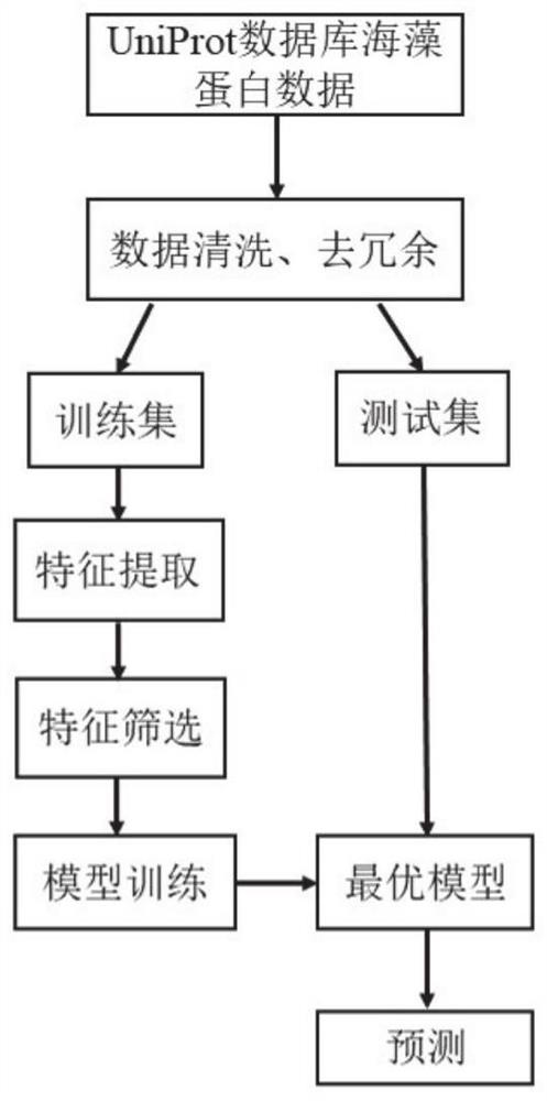 Seaweed carbon sequestration protein prediction method and system based on machine learning