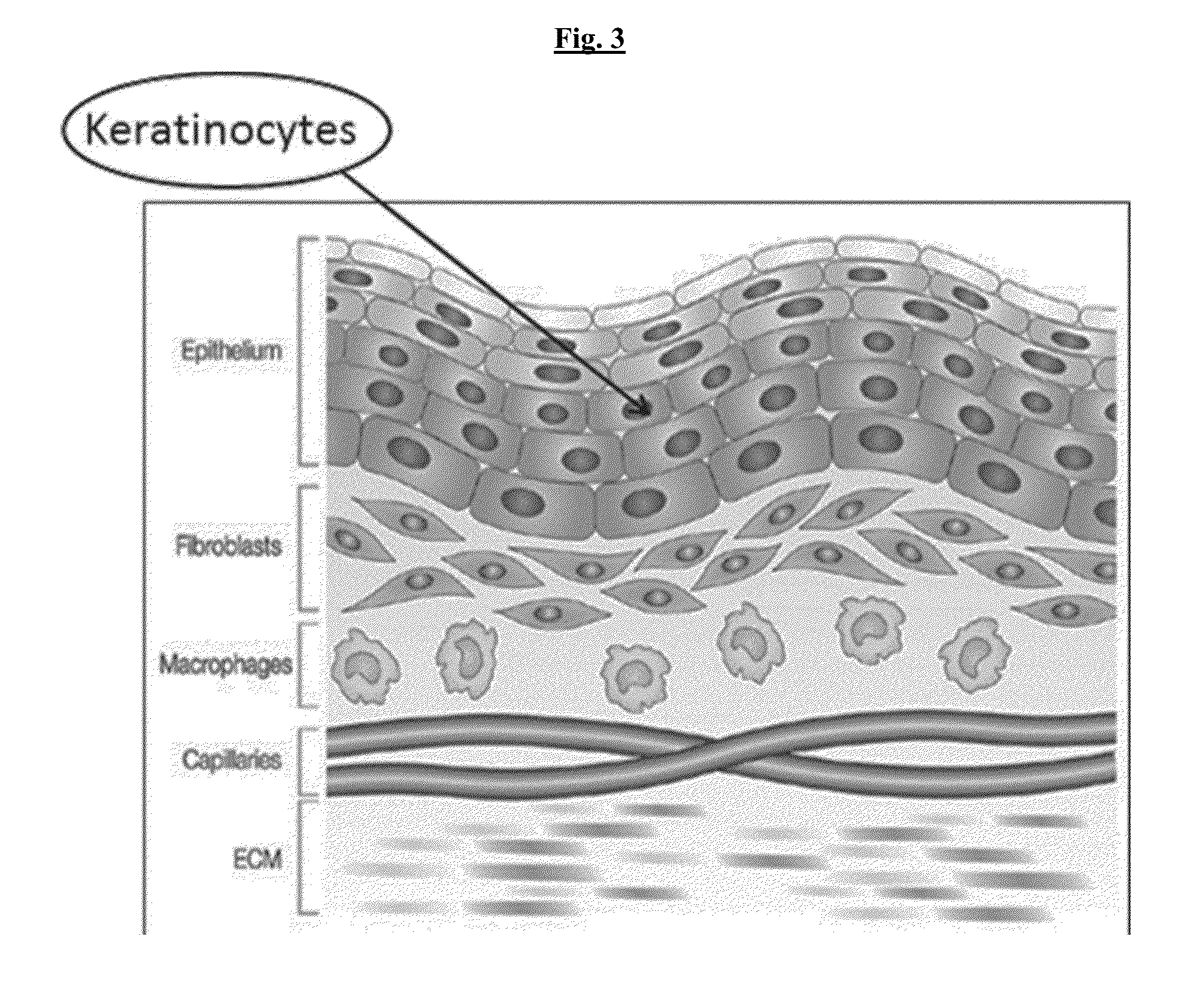 Compositions Useful for Treating Herpes Simplex Labialis and/or Herpes Esophagitis, and Methods Using Same