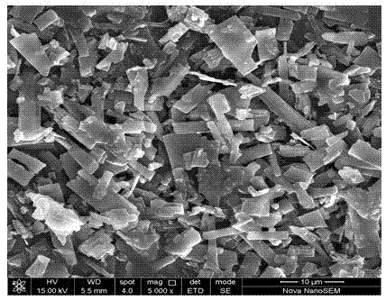 Method for preparing lamellar aragonite calcium carbonate powder from shell under hydrothermal condition