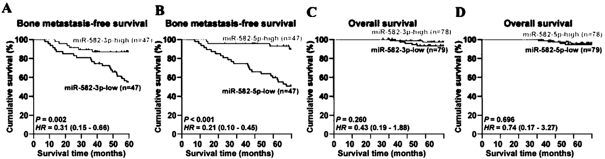 Application of miR-582 in preparing prostatic cancer osseous metastasis diagnosis and prognosis kit and medicine