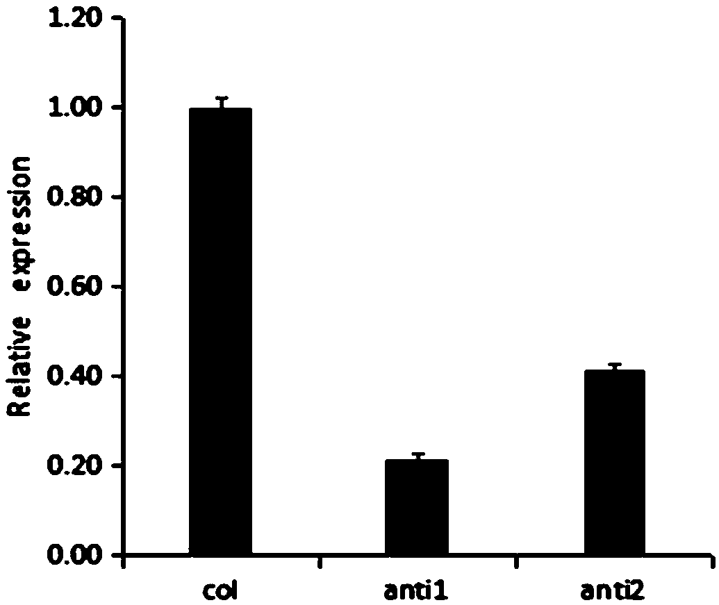 Strawberry glutathione-transferase FaGST gene of, express protein thereof and application thereof