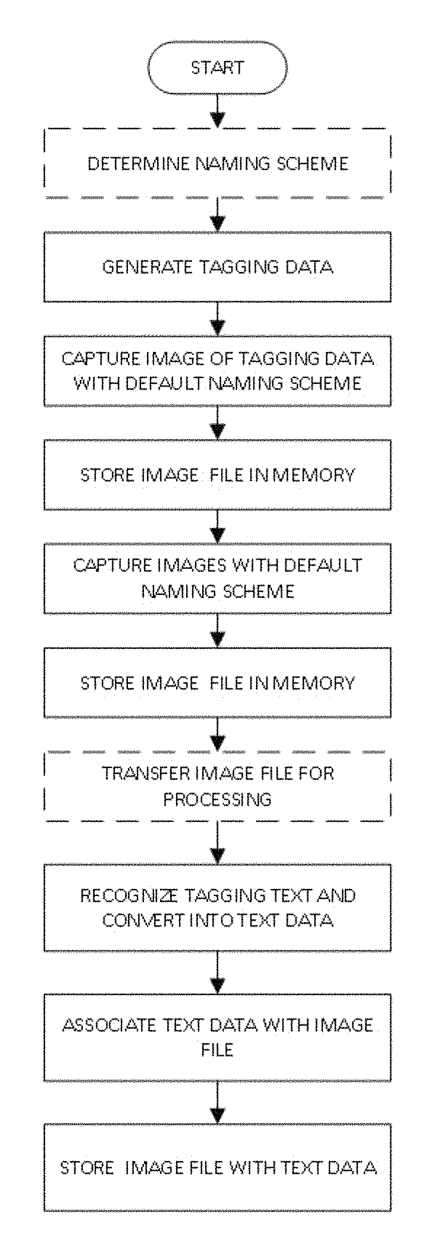 Method and system for organizing digital files
