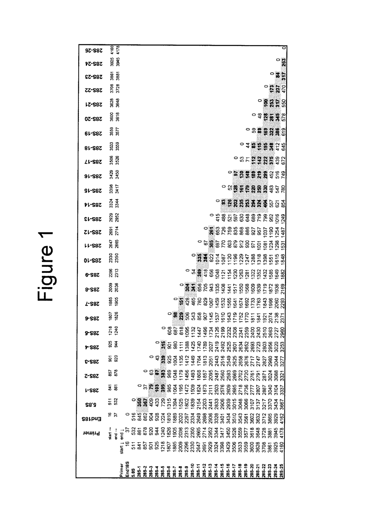 Broad range PCR-based compositions and methods for the detection and identification of fungal pathogens